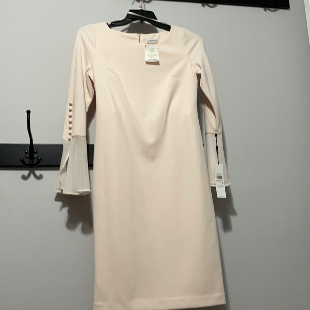 Blush Dress